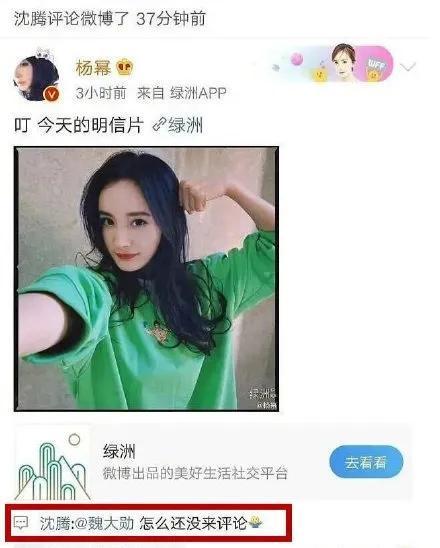 吃瓜软件娱乐圈,吃瓜软件揭秘明星幕后故事
