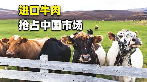 国产牛牛在线,创新游戏体验，引领休闲娱乐新潮流
